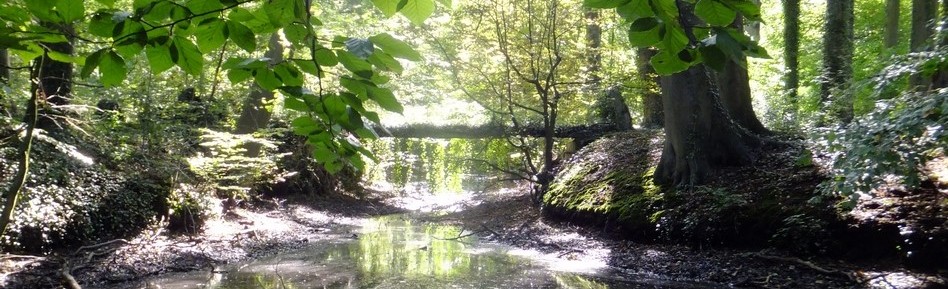 Deurne - Park Ertbrugge