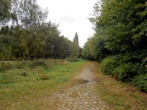Groot Schijn 4